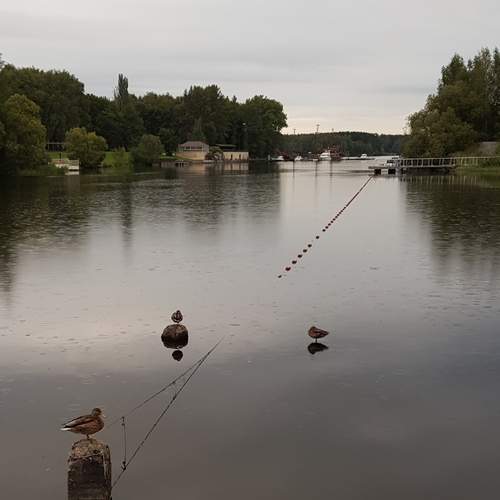 Photo #13131066