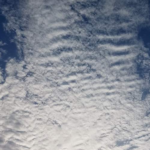Photo #13131339