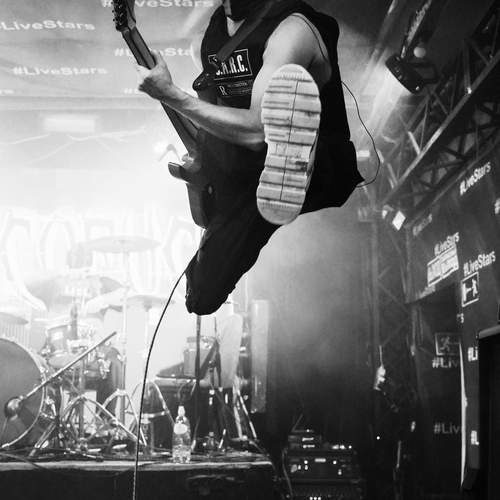 Photo #13131355