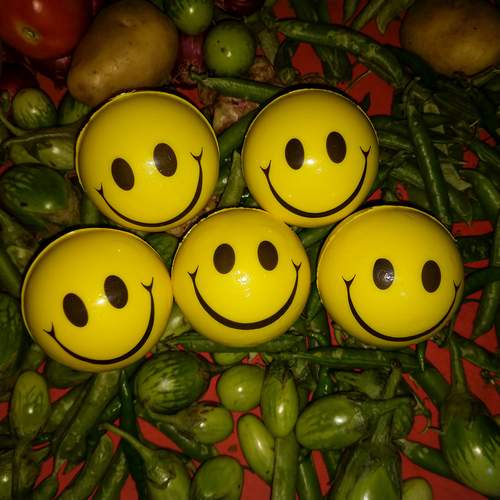Photo #13131545