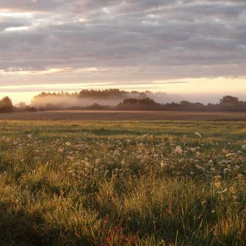 Photo #13131692