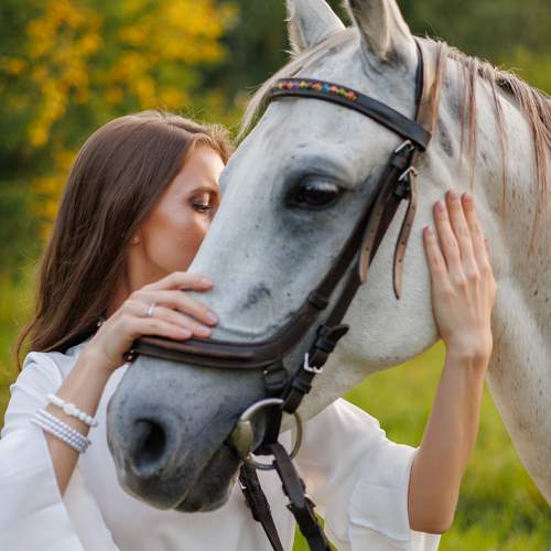 Photo #13131705