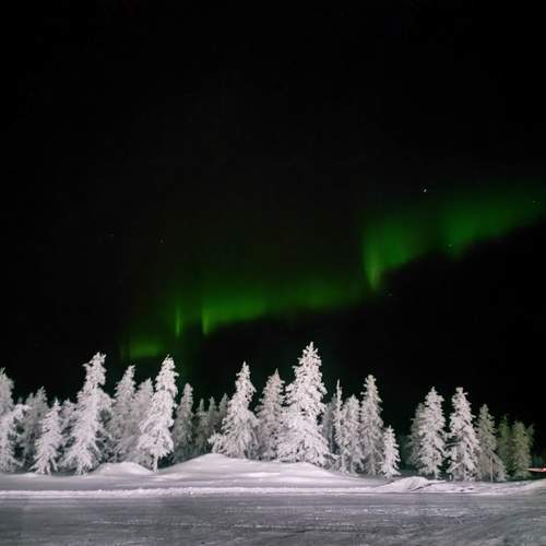 Photo #13131758