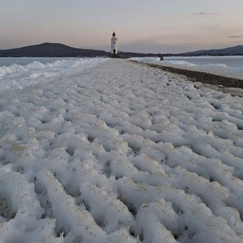 Photo #13131794