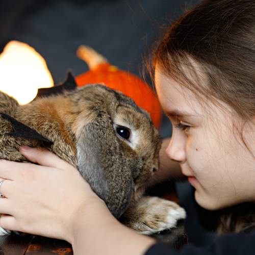 Photo #13131797