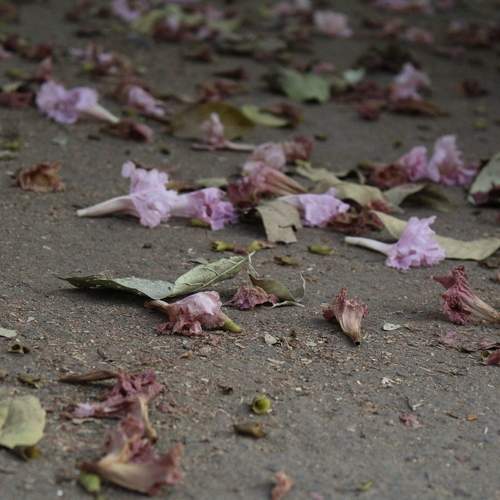 Photo #13131815