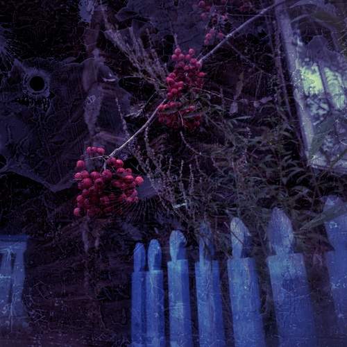 Photo #13132015