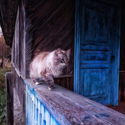 Photo #13132016