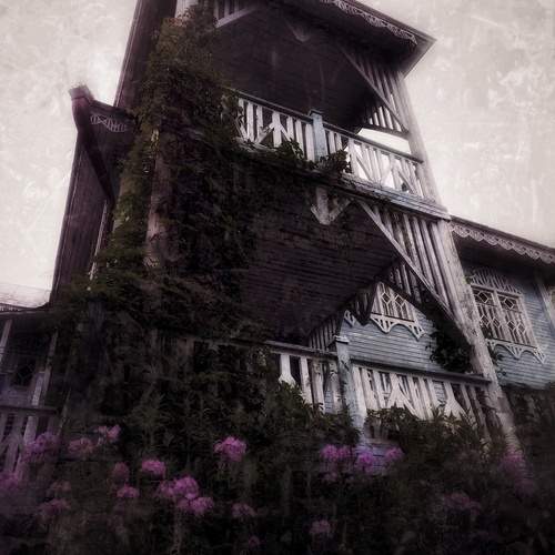 Photo #13132116