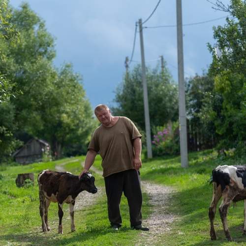 Photo #13132210