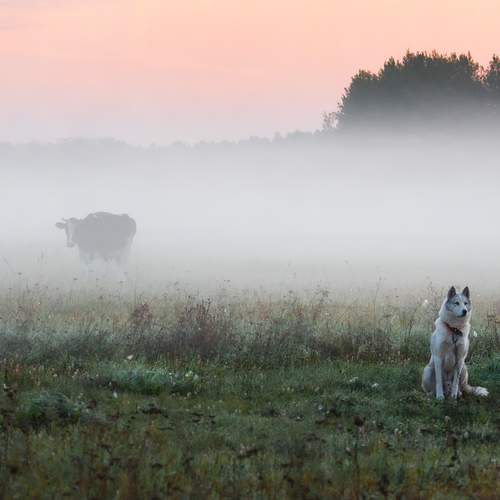 Photo #13132293