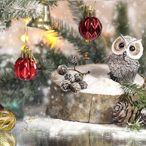 Фотография #13132363