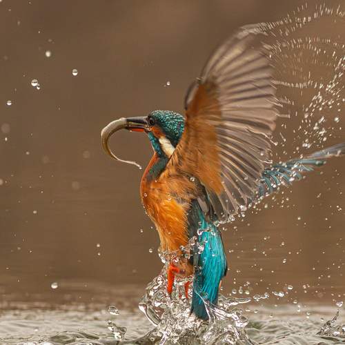 Azure Lift-off: The Power of Flight