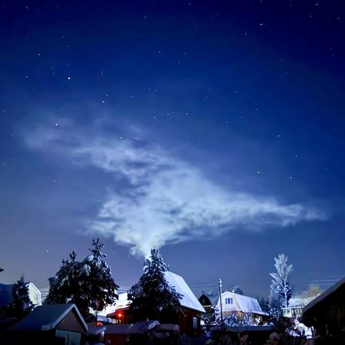 Photo #13132493