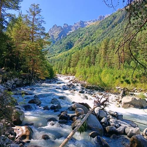 Photo #13132890