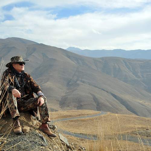 Photo #13132965