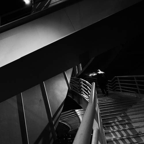 Photo #13133051