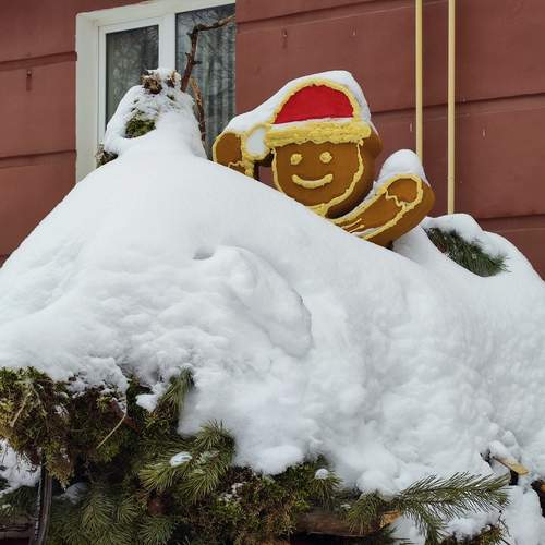 Photo #13133085