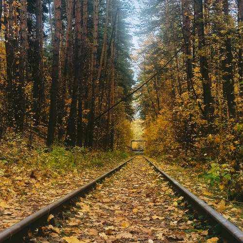Photo #13133103