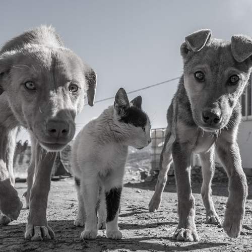Photo #13133112