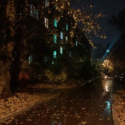 Photo #13133119