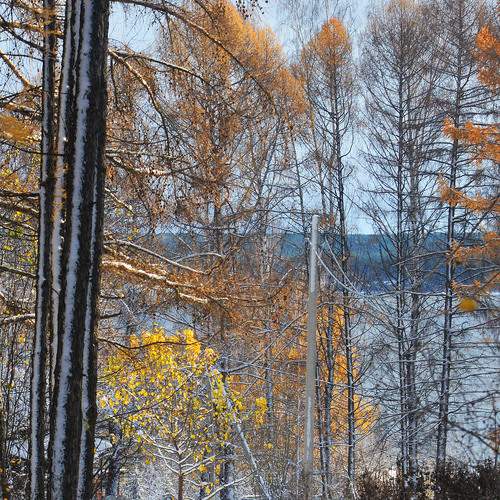 Photo #13133138