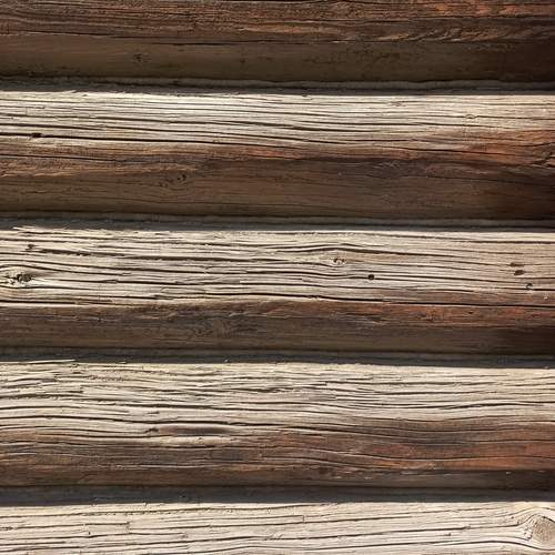 Photo #13133264