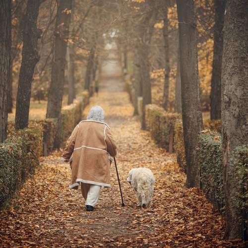 Photo #13133304