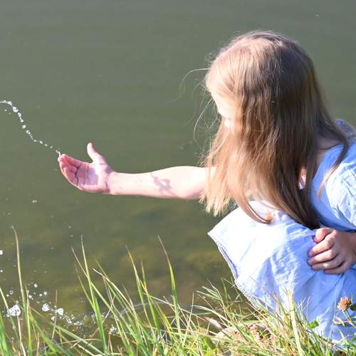 Photo #13133464