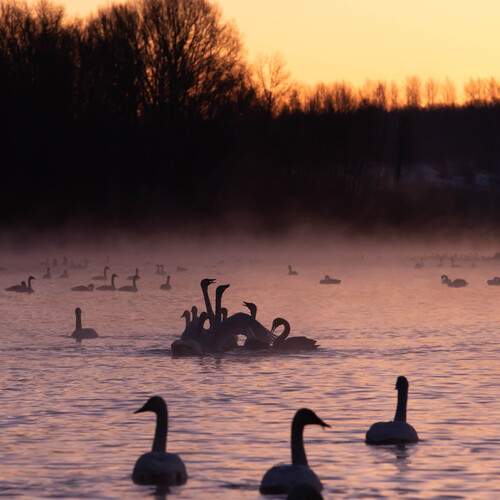 Photo #13133563