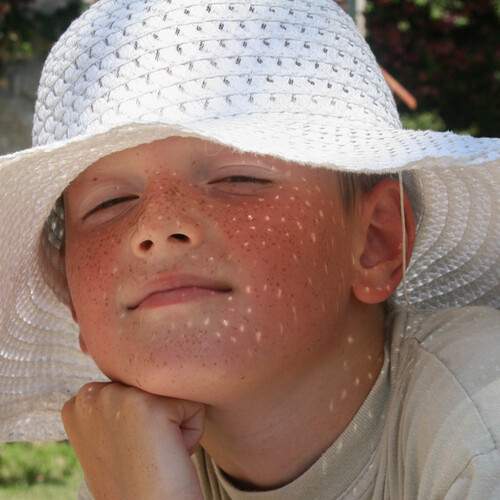 Photo #13133722