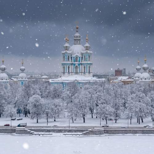 Максим Кольцов