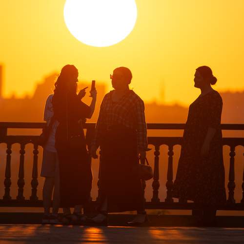Photo #13133907