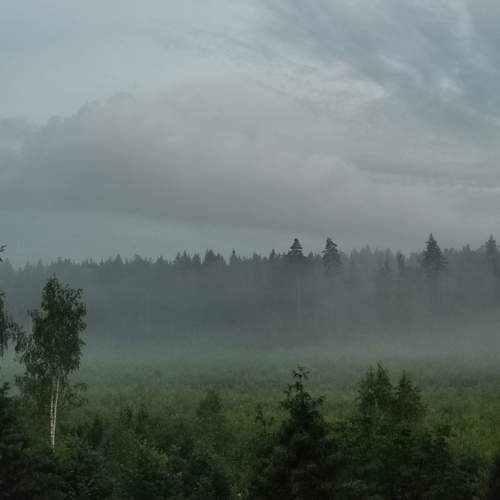 Photo #13133992