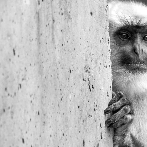 Photo #13134352