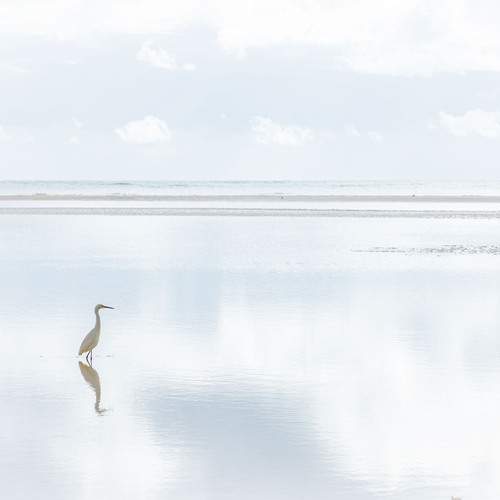 Photo #13134472