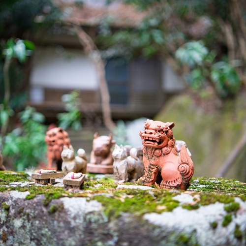 Photo #13134531