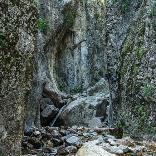 Photo #13134627