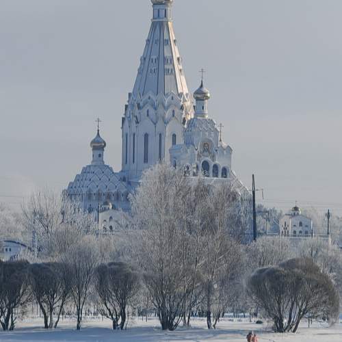 Photo #13134647