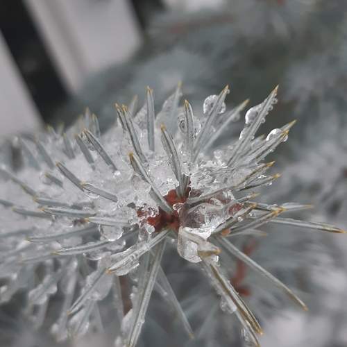 Photo #13134674