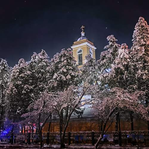 Photo #13134681