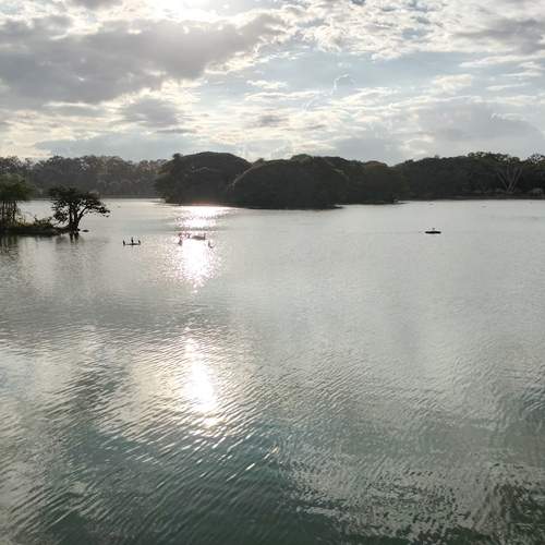 Photo #13134702