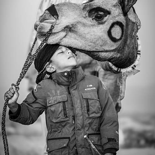 Photo #13134727