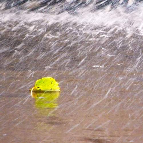 Photo #13134758