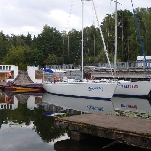 Photo #13135049