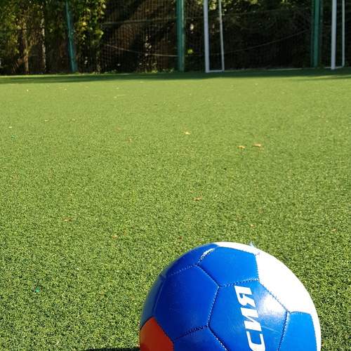 Photo #13135064