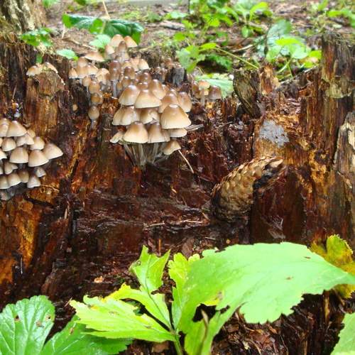 Photo #13135083