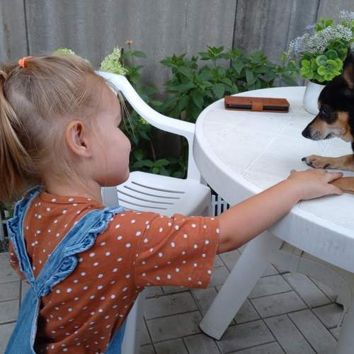 Photo #13135233