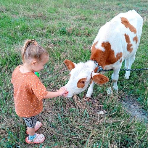 Photo #13135260