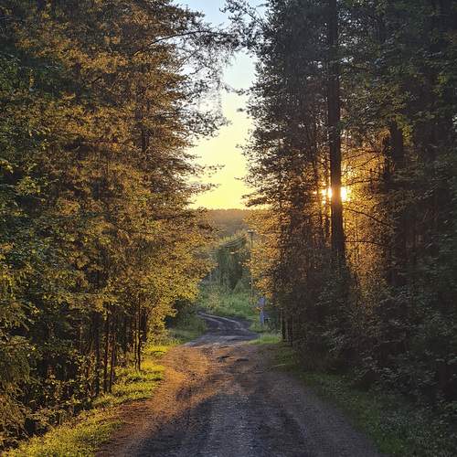 Photo #13135530